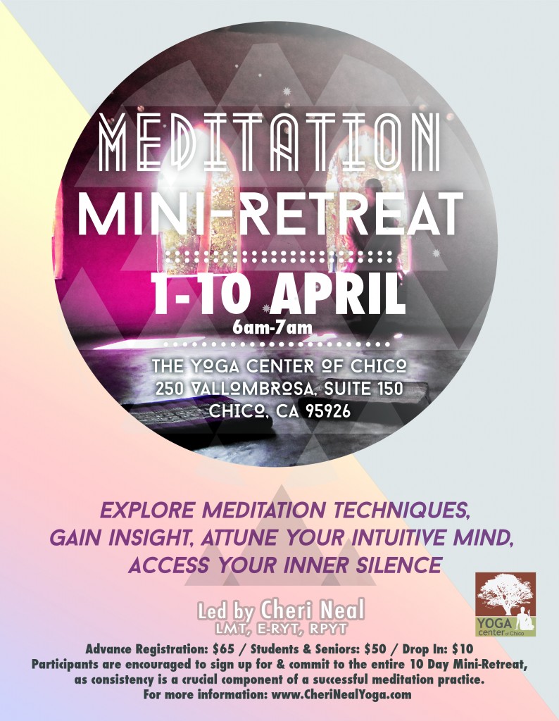 meditation retreat 2016. 2-2