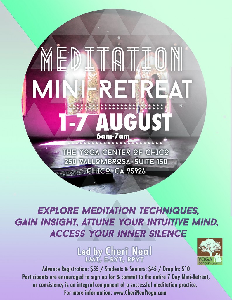 meditation retreat 2016. August